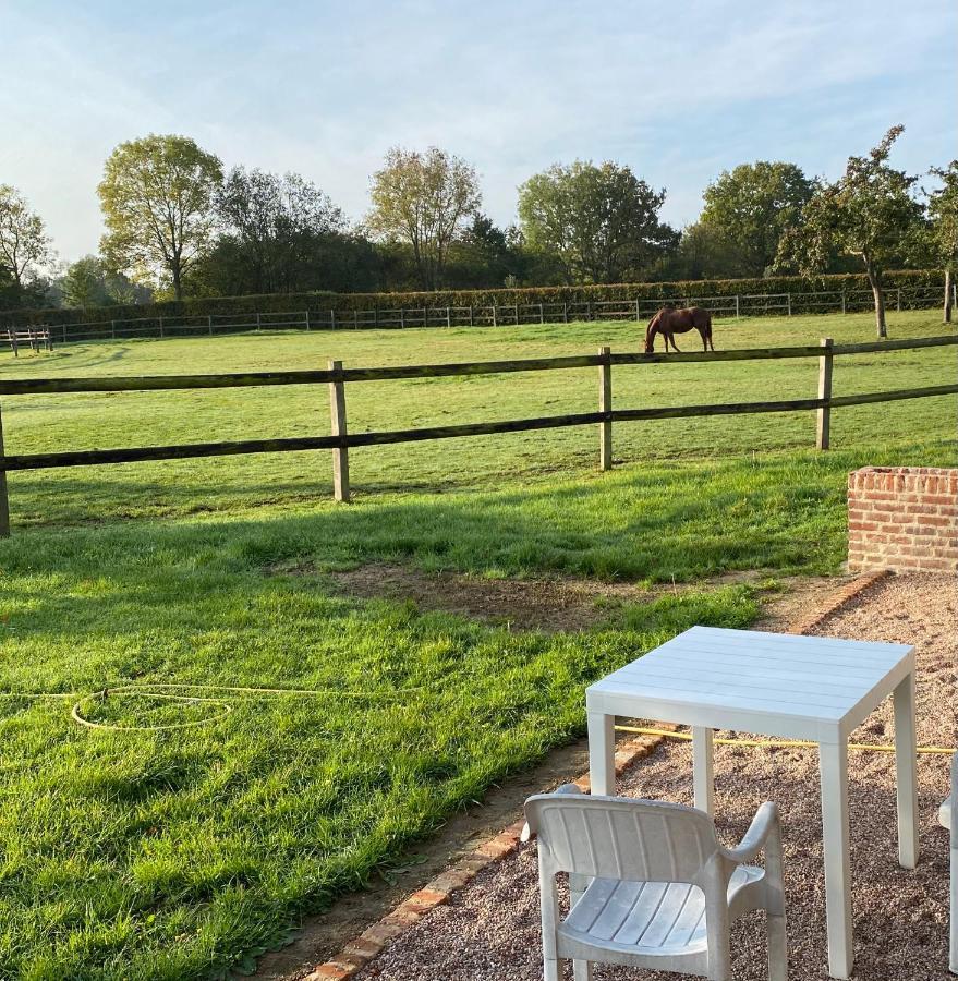 La Longere Du Haras Daire Manerbe Dış mekan fotoğraf