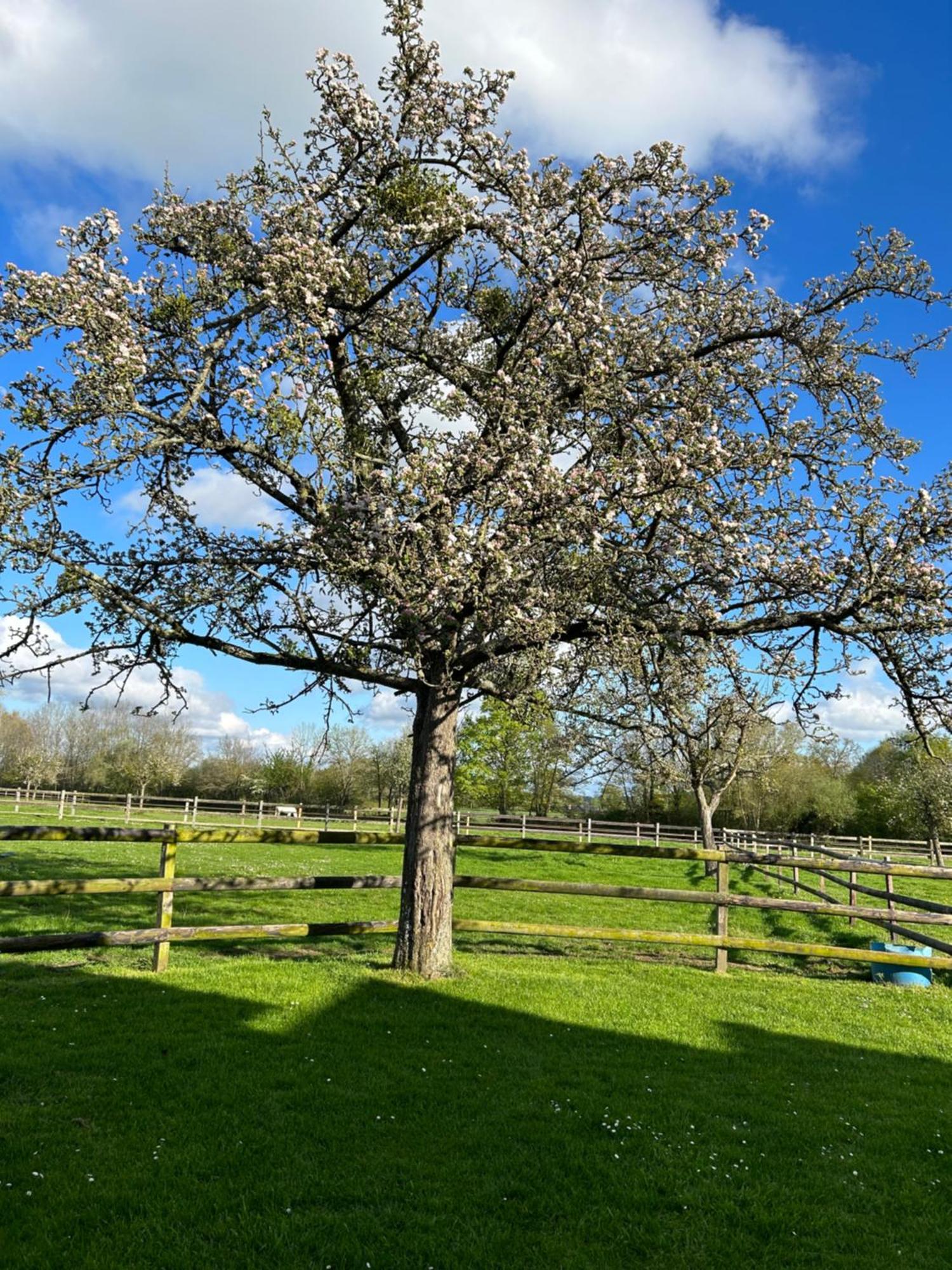La Longere Du Haras Daire Manerbe Dış mekan fotoğraf