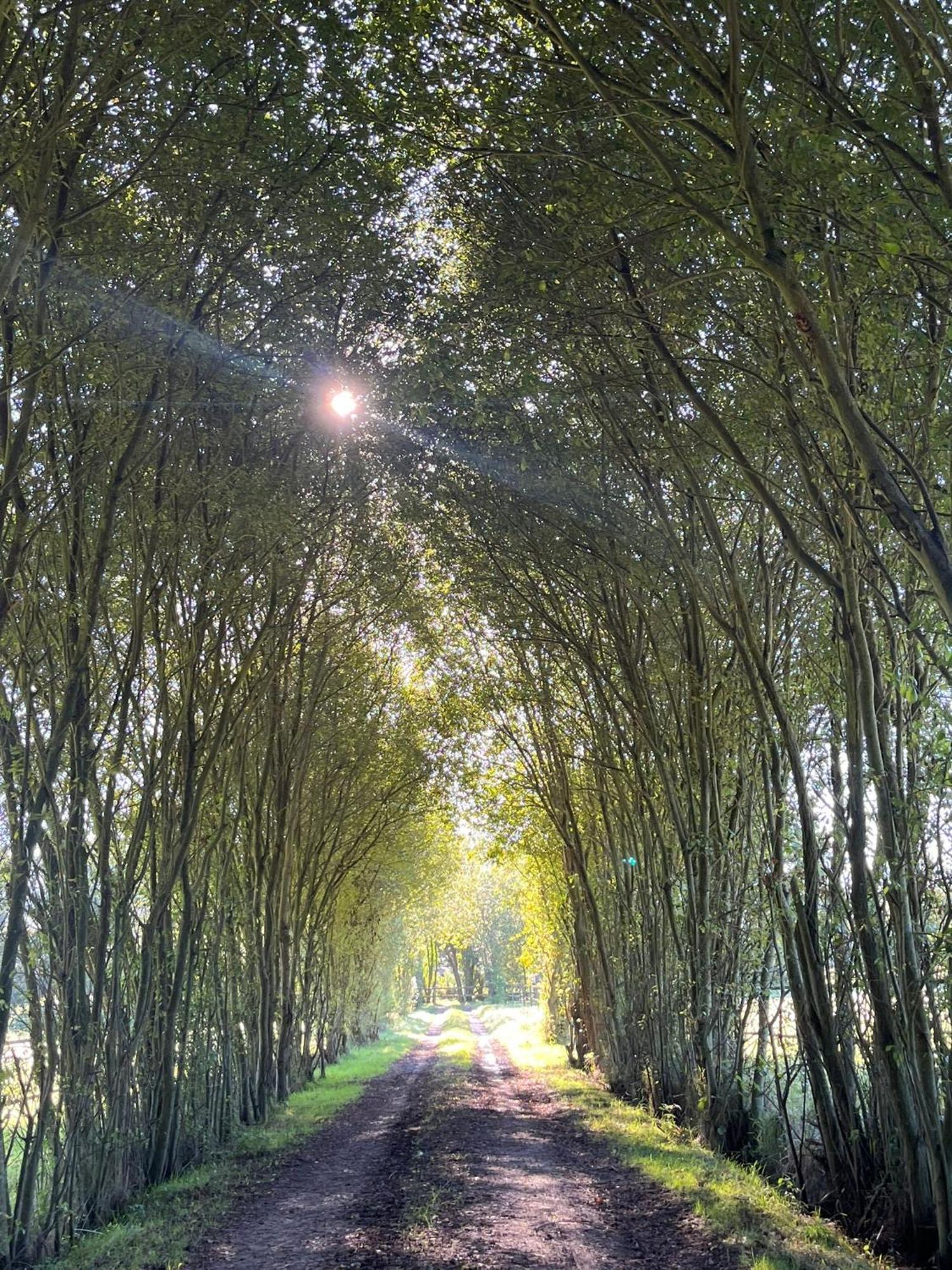 La Longere Du Haras Daire Manerbe Dış mekan fotoğraf