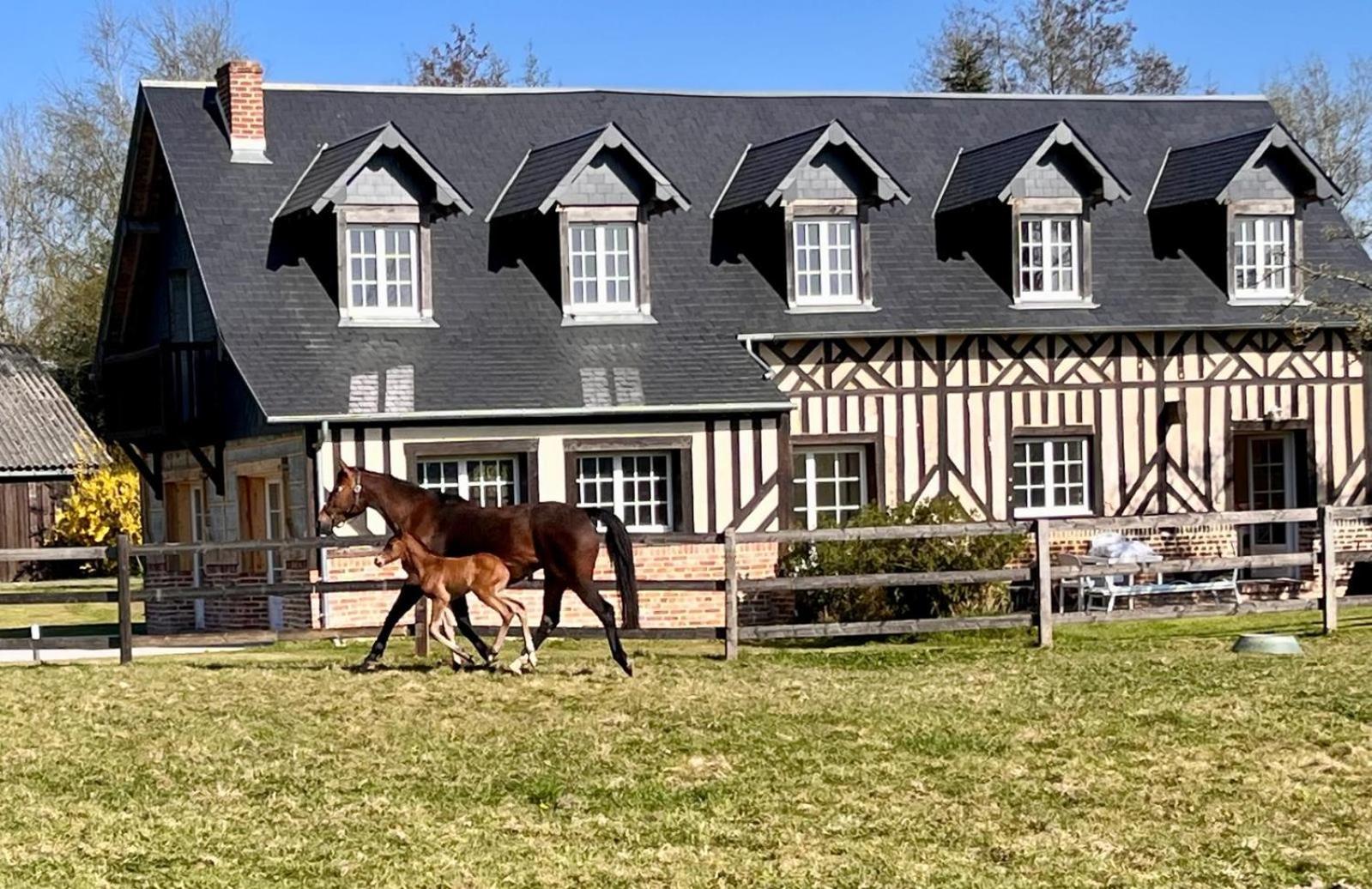 La Longere Du Haras Daire Manerbe Dış mekan fotoğraf